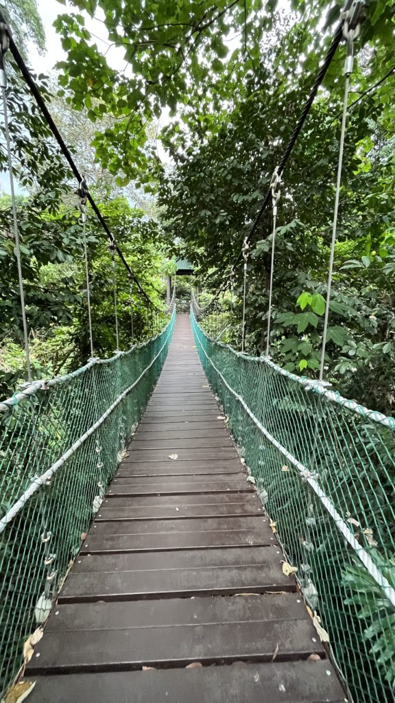 Kuala Forest Eco Park