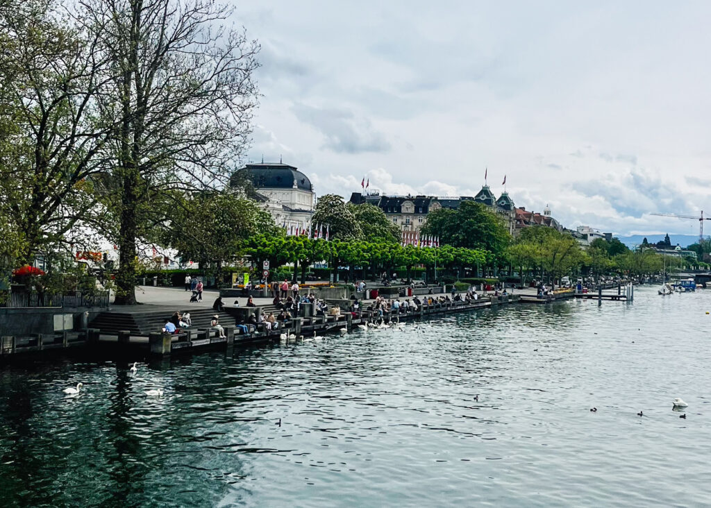 Geese on Zurich river